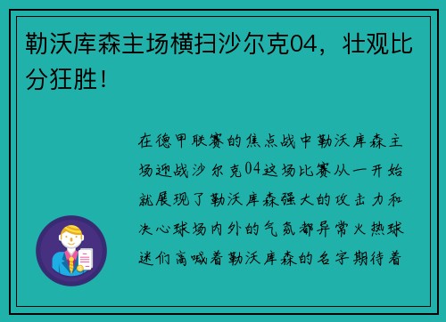 勒沃库森主场横扫沙尔克04，壮观比分狂胜！