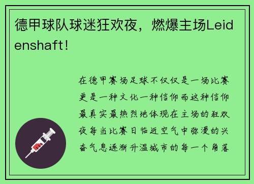 德甲球队球迷狂欢夜，燃爆主场Leidenshaft！