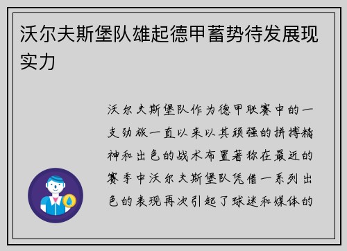沃尔夫斯堡队雄起德甲蓄势待发展现实力