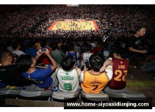 爱游戏电竞官网NBA现役白人球员：背景、成就与未来展望 - 副本