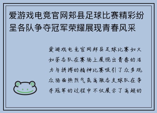 爱游戏电竞官网郏县足球比赛精彩纷呈各队争夺冠军荣耀展现青春风采